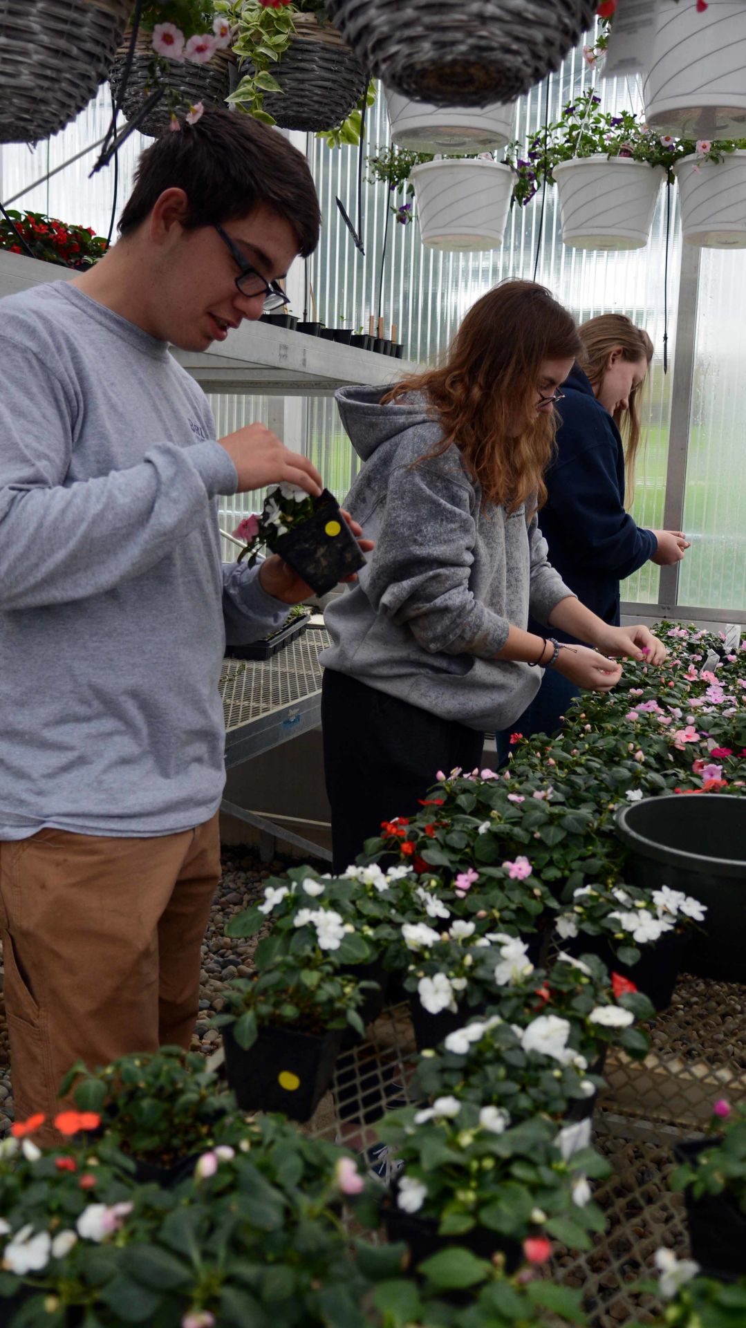 Baraboo High School students prepare for annual plant sale